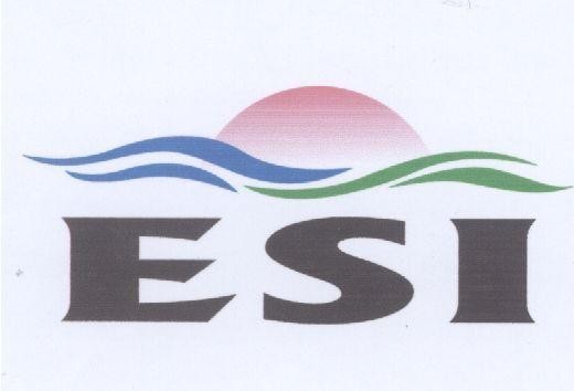 Mẫu nhãn hiệu ESI
