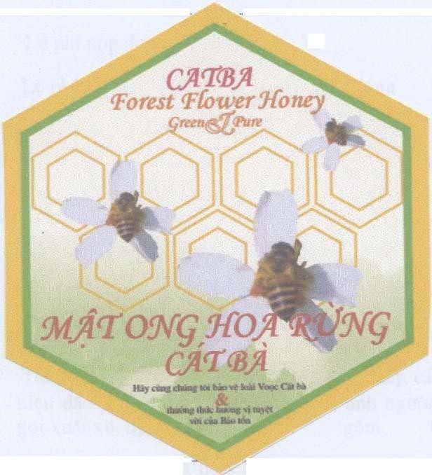 Mẫu nhãn hiệu Mật ong hoa rừng Cát Bà CATBA FOREST FLOWER HONEY