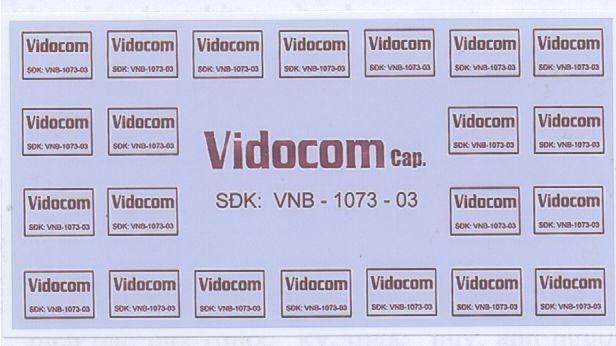 Mẫu nhãn hiệu VIDOCOM CAP SĐK VNB 1073 03