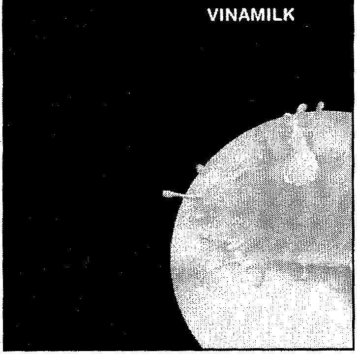 Mẫu nhãn hiệu VINAMILK