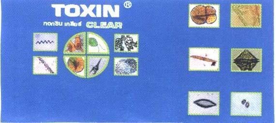 Mẫu nhãn hiệu TOXIN CLEAR tô xin