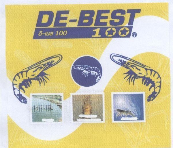 Mẫu nhãn hiệu DE-BEST đi bệt 100