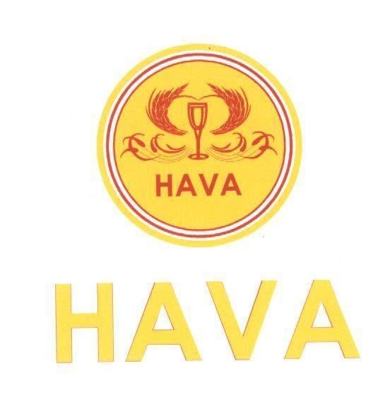 Mẫu nhãn hiệu HAVA HAVA