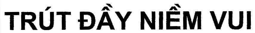 Mẫu nhãn hiệu TRUT DAY NIEM VUI