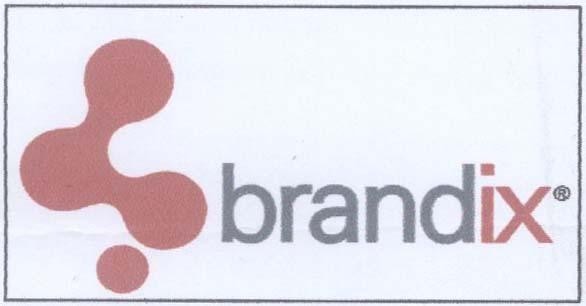 Mẫu nhãn hiệu BRANDIX