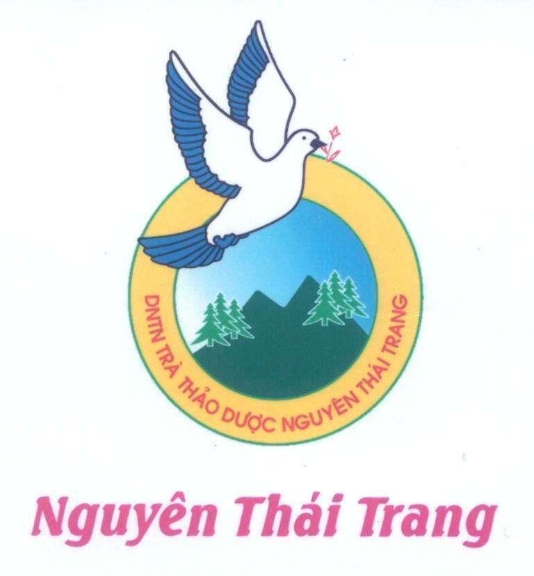 Mẫu nhãn hiệu Nguyên Thái Trang DNTN Trà Thảo Dược Nguyên Thái Trang