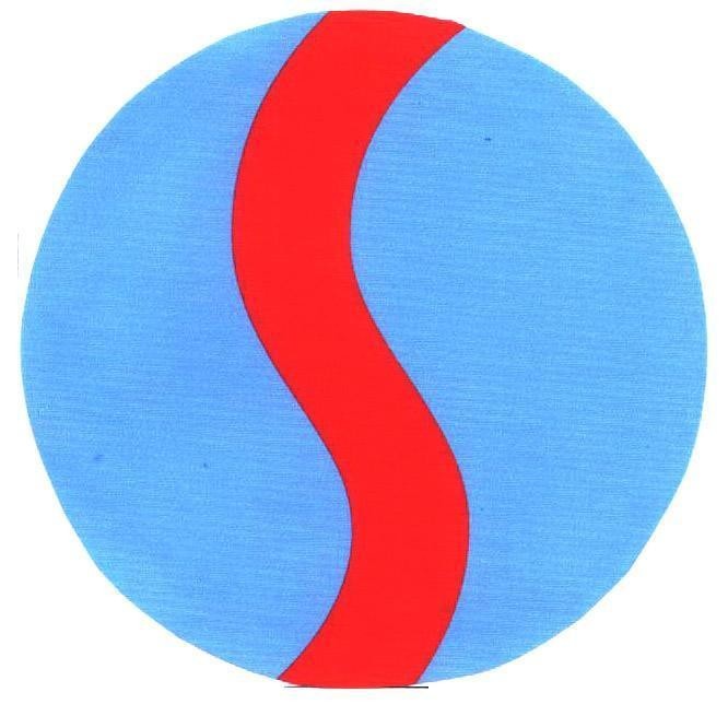 Mẫu nhãn hiệu S