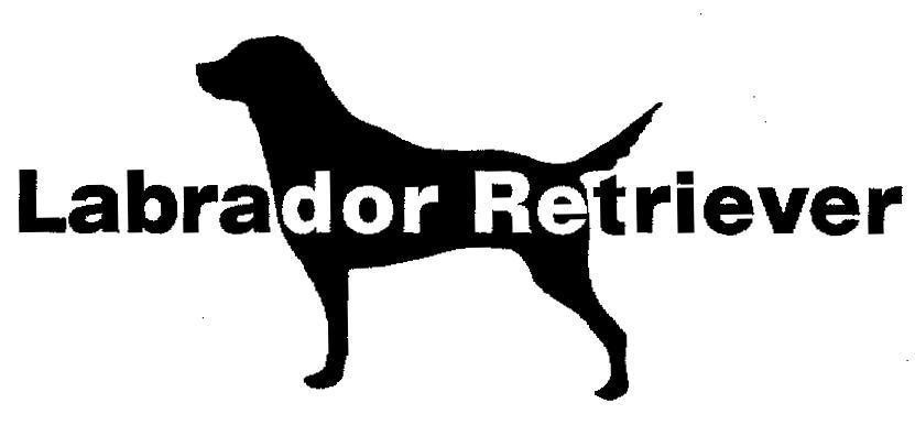 Mẫu nhãn hiệu LABRADOR RETRIEVER