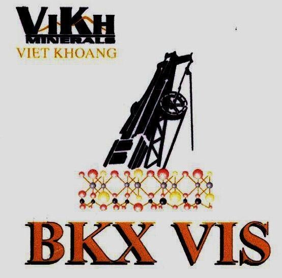 Mẫu nhãn hiệu VIKH MINERALS VIET KHOANG BKX VIS