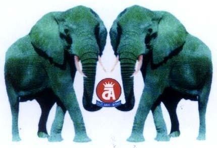 Mẫu nhãn hiệu ĐA DUC ANH BOND