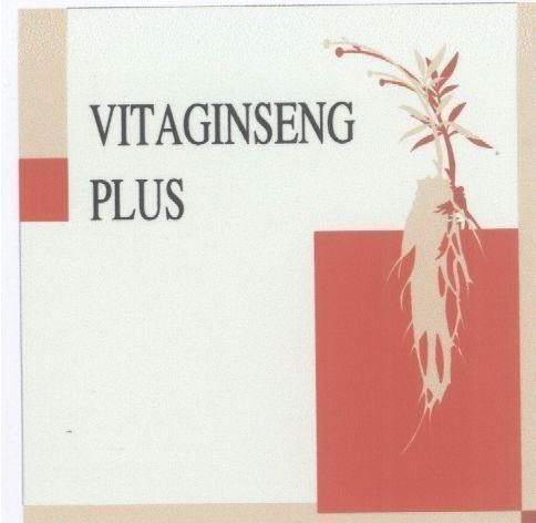 Mẫu nhãn hiệu VITAGINSENG PLUS