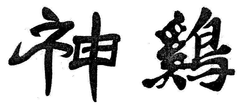 Mẫu nhãn hiệu SHEN JT THAN GA
