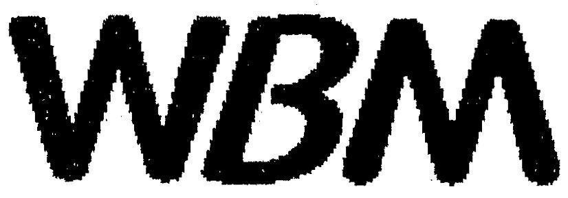 Mẫu nhãn hiệu WBM