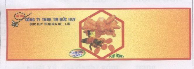 Mẫu nhãn hiệu CONG TY TNHH TM DUC HUY TRADING CO LTD TURMERIC HONEY PURE HONEY
