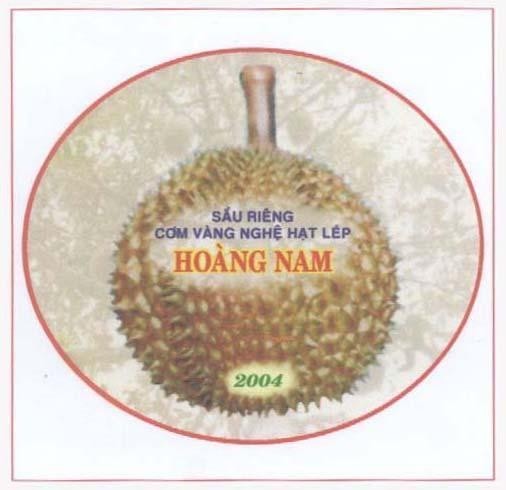Mẫu nhãn hiệu Sầu Riêng cơm vàng hạt lép Hoàng Nam