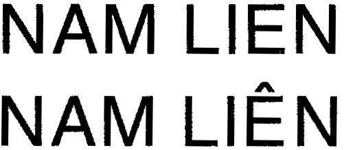 Mẫu nhãn hiệu NAM LIEN