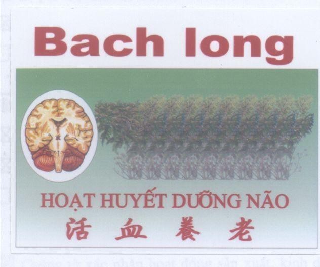Mẫu nhãn hiệu BACH LONG Hoạt Huyết Dưỡng Não HUO XUE YANG NAO
