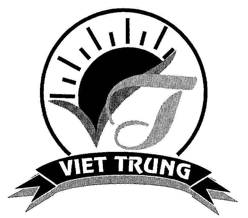 Mẫu nhãn hiệu VT VIET TRUNG