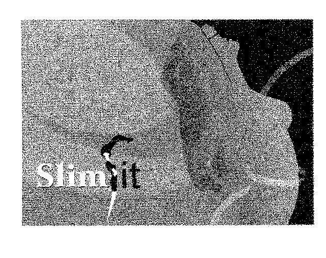 Mẫu nhãn hiệu SLIMFIT slim it
