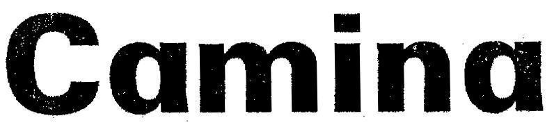 Mẫu nhãn hiệu CAMINA