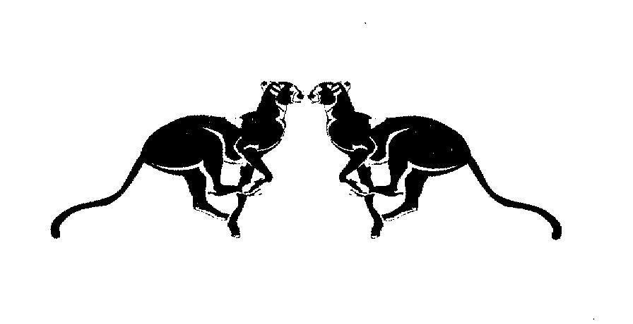 Mẫu nhãn hiệu Nhãn hiệu VN-4-2004-14246