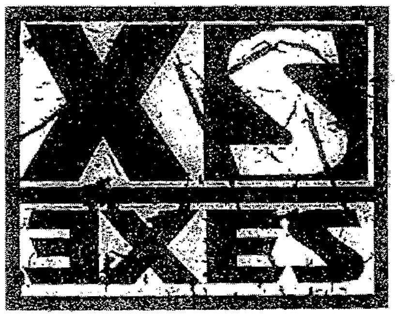 Mẫu nhãn hiệu XS EXES