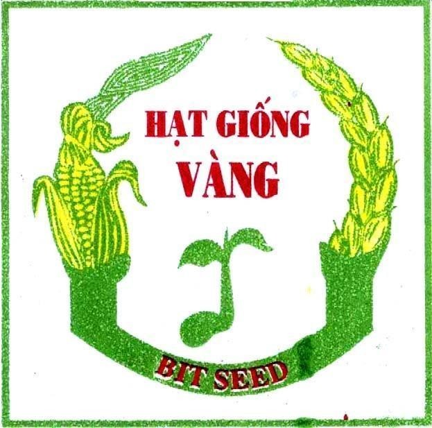 Mẫu nhãn hiệu HAT GIONG VANG BIT SEED