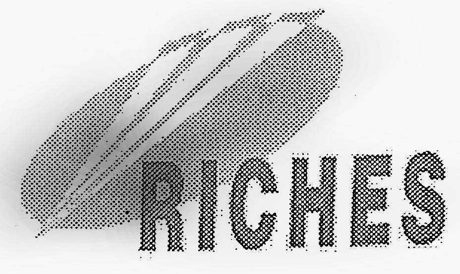 Mẫu nhãn hiệu RICHES