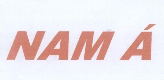 Mẫu nhãn hiệu NAM á
