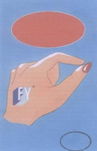 Mẫu nhãn hiệu FY