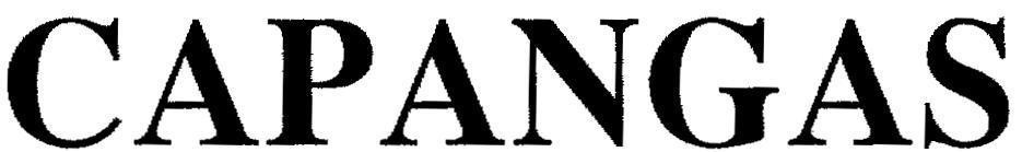 Mẫu nhãn hiệu CAPANGAS
