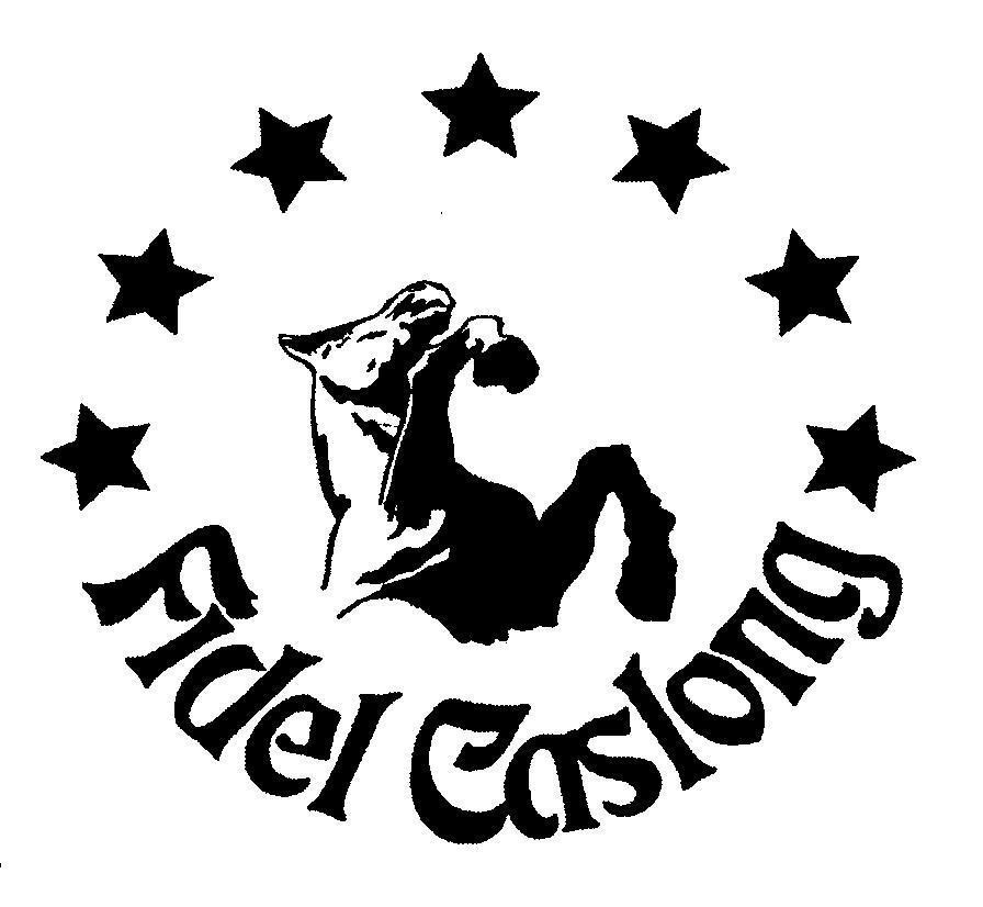 Mẫu nhãn hiệu FIDEL CASLONG