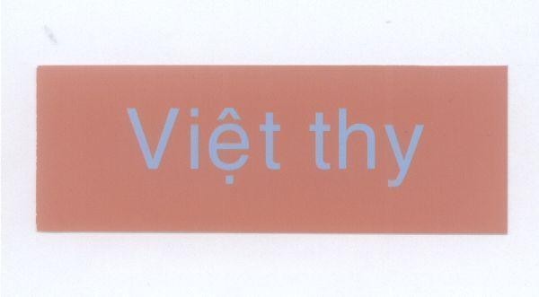 Mẫu nhãn hiệu Việt Thy