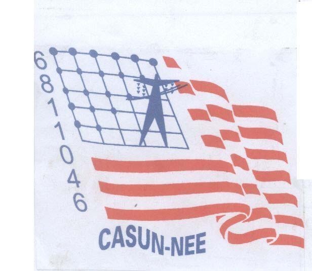 Mẫu nhãn hiệu CASUN-NEE 6811046