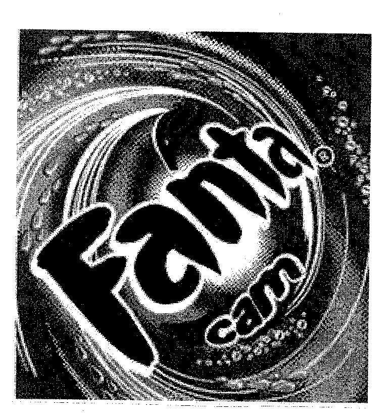 Mẫu nhãn hiệu FANTA CAM