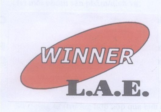 Mẫu nhãn hiệu WINNER L A E