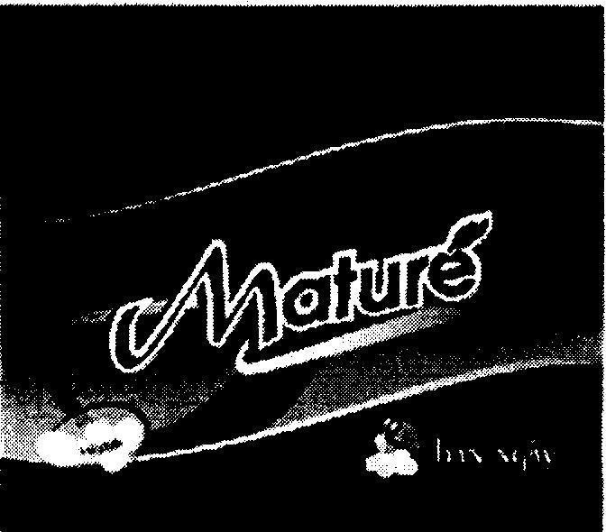 Mẫu nhãn hiệu MATURE BAN NGàY