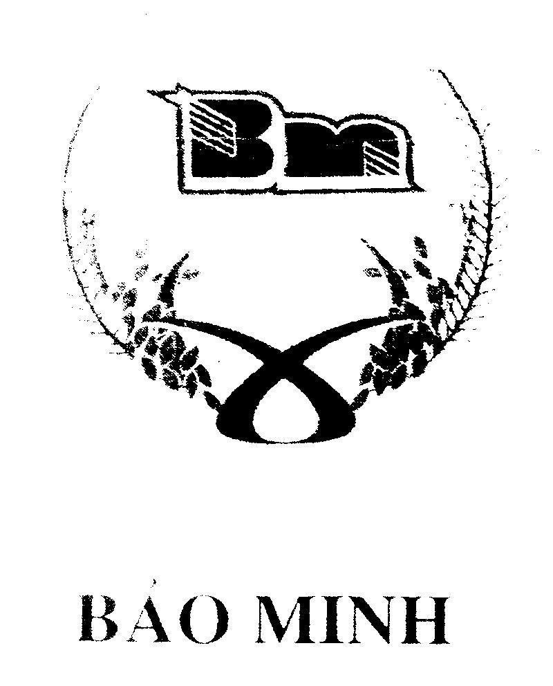 Mẫu nhãn hiệu BM Bảo Minh