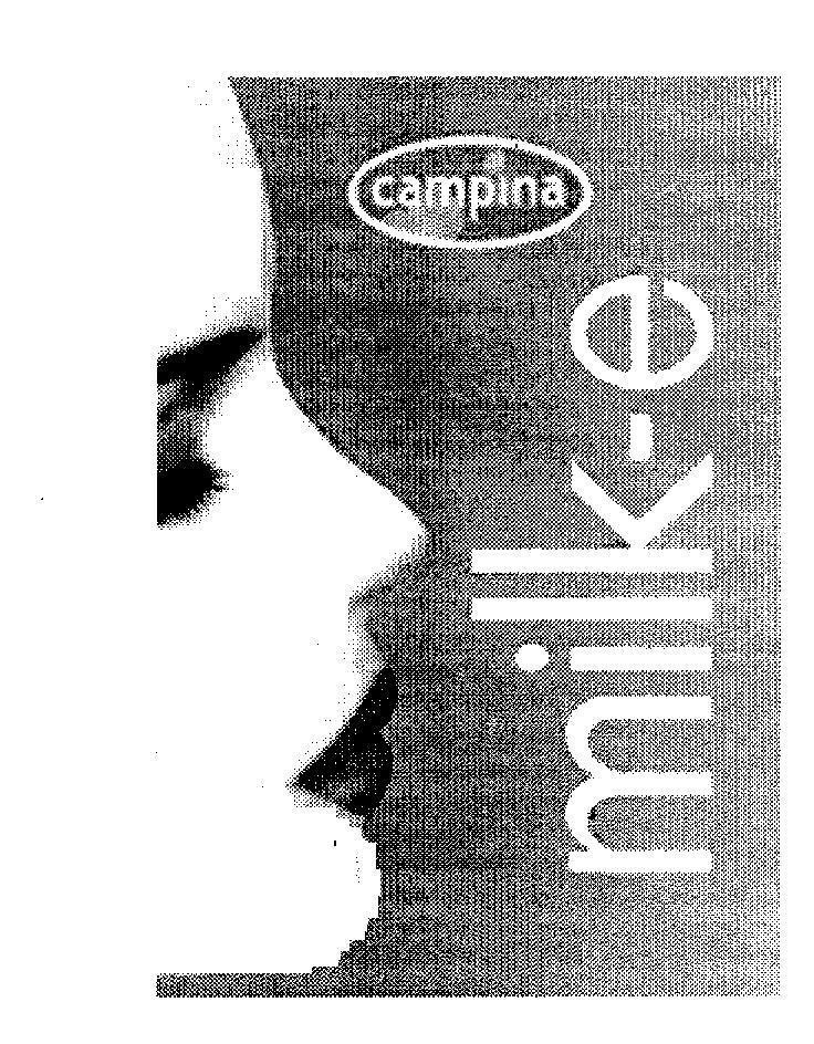 Mẫu nhãn hiệu CAMPINA MILK - E