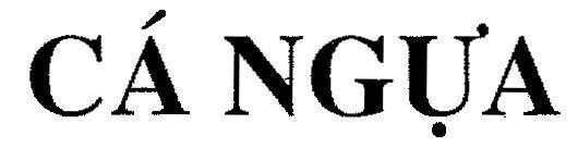 Mẫu nhãn hiệu Cá NGựA