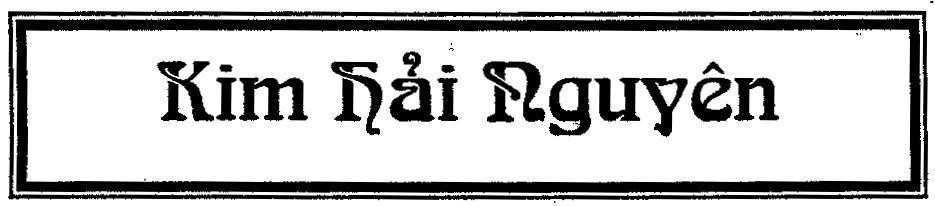 Mẫu nhãn hiệu KIM HảI NGUYÊN