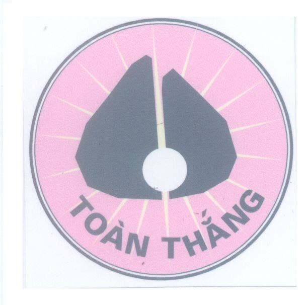 Mẫu nhãn hiệu TOàN THắNG