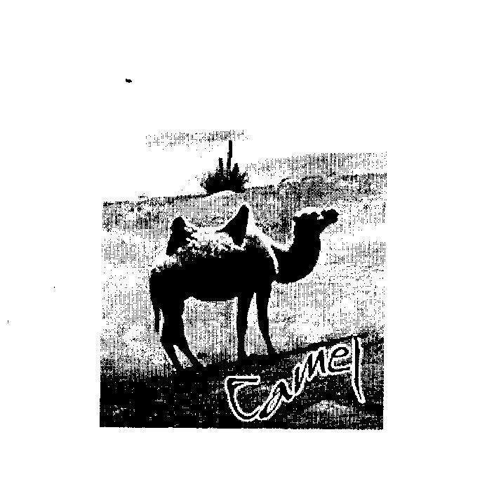 Mẫu nhãn hiệu CAMEL