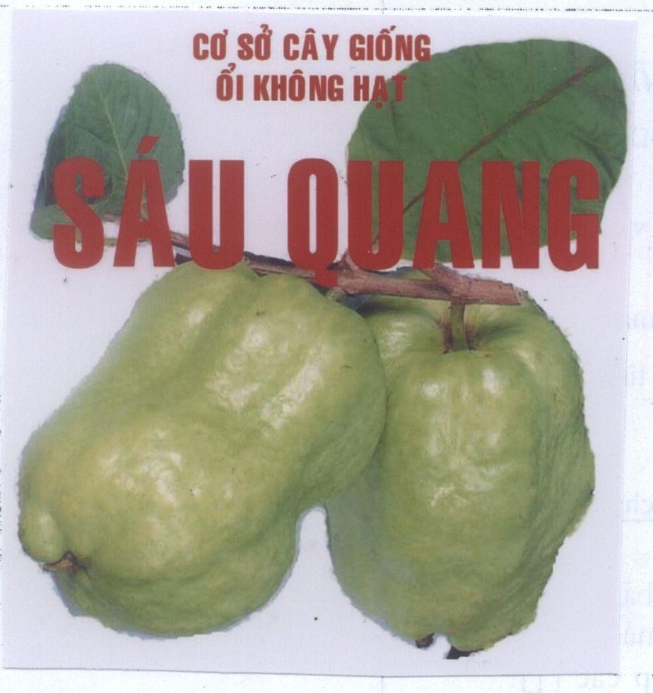 Mẫu nhãn hiệu Sáu Quang Cơ Sở Cây Giống ổi Không Hạt