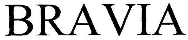 Mẫu nhãn hiệu BRAVIA