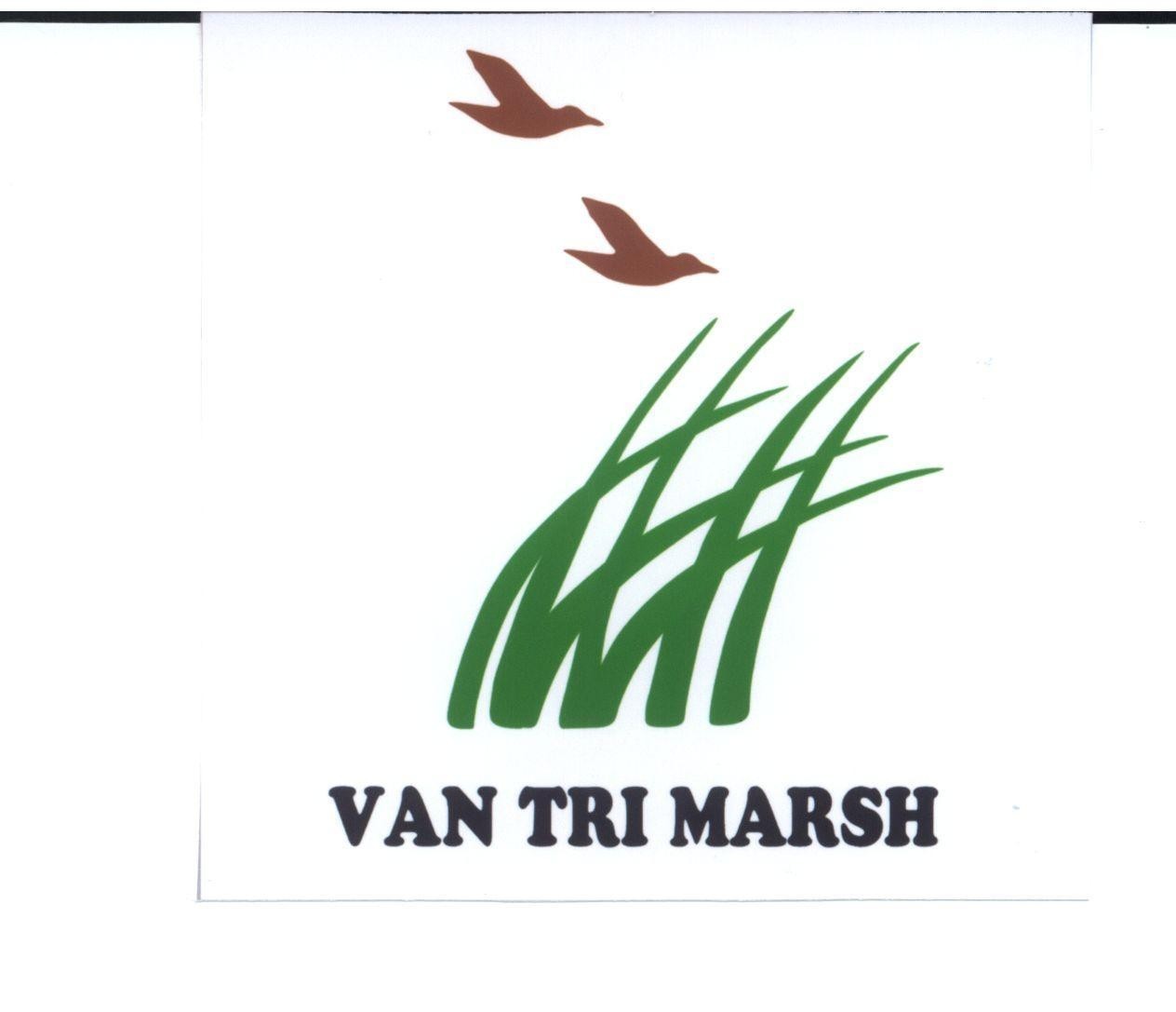 Mẫu nhãn hiệu VAN TRI MARSH