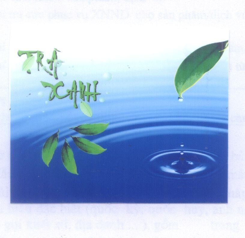 Mẫu nhãn hiệu Trà Xanh