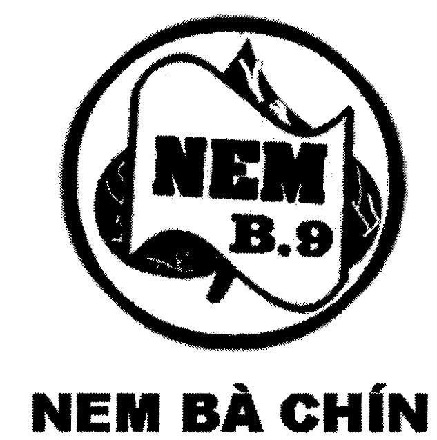 Mẫu nhãn hiệu NEM B9 Nem Bà Chín