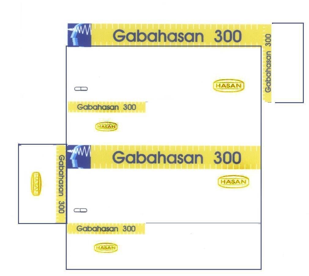 Mẫu nhãn hiệu GABAHASAN 300 HASAN