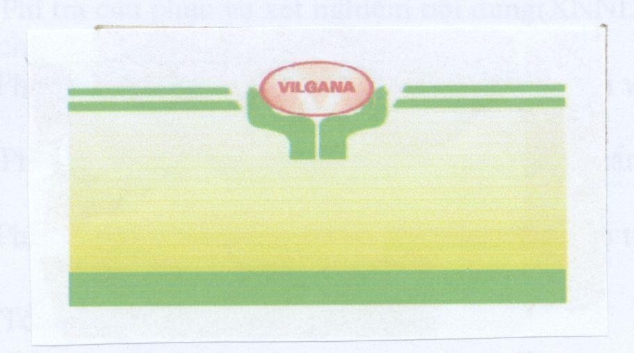 Mẫu nhãn hiệu VILGANA